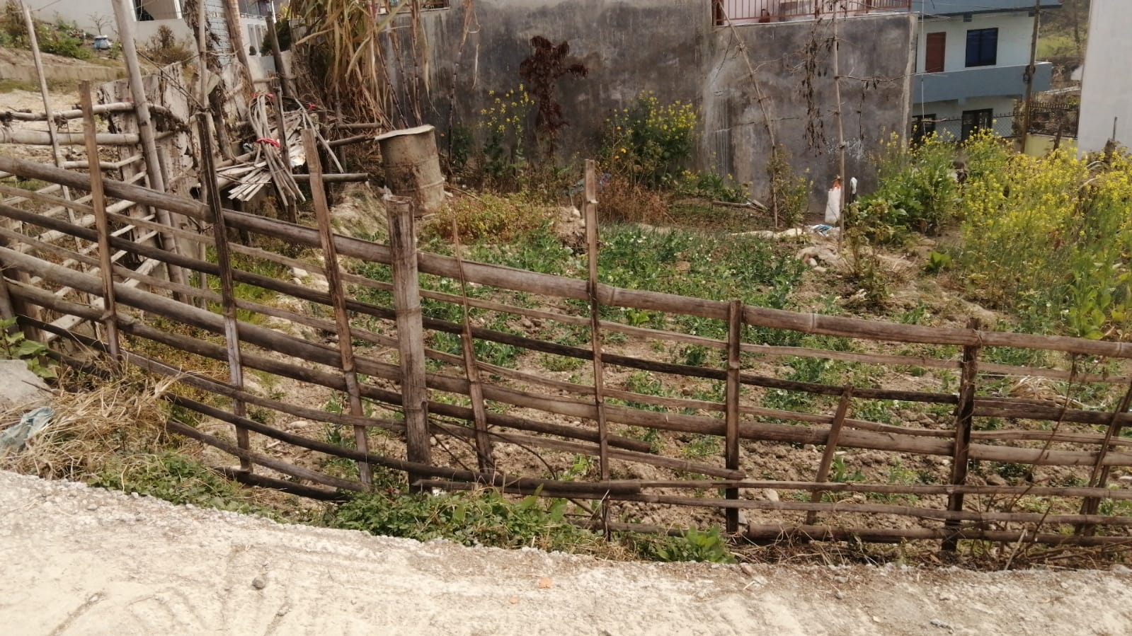 Picture of Mahalaxmi Municipality, Bagmati
